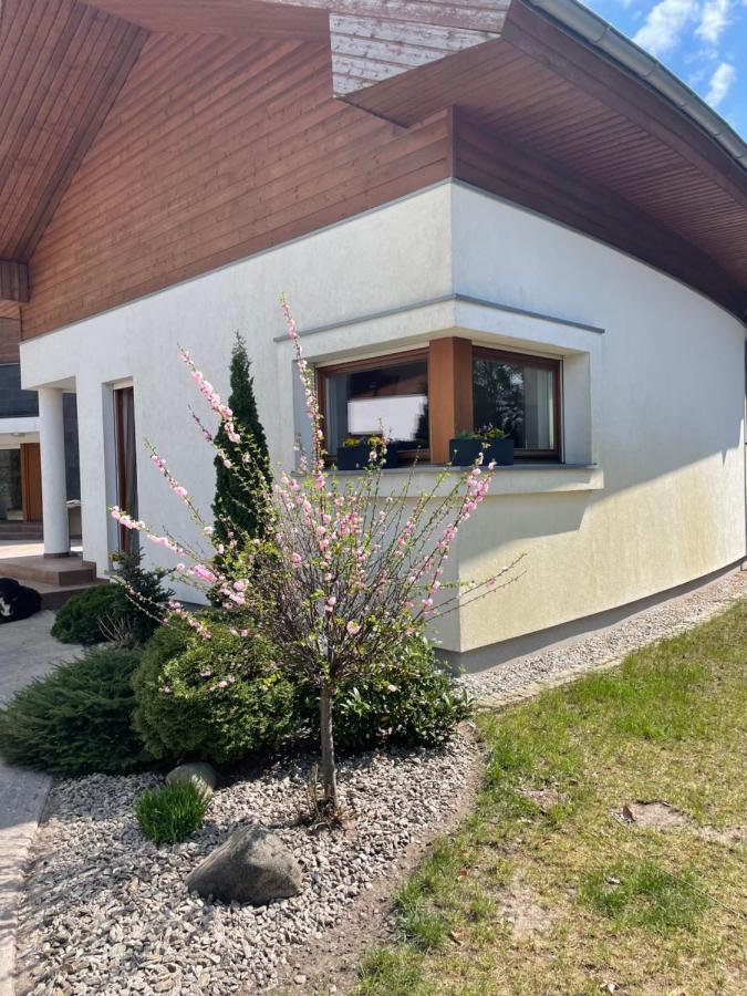 Apartament Przy Lesie Chojno-Blota Wielkie Exterior foto